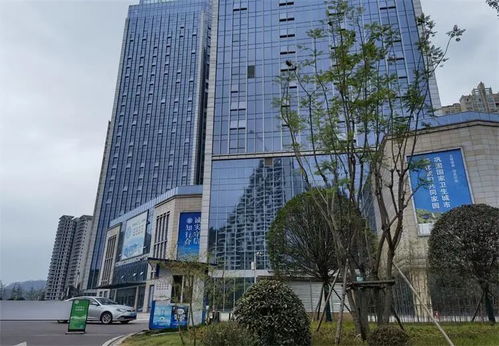 司法拍賣四川標(biāo)王來了,23萬平方米商業(yè)地產(chǎn)20億元起拍