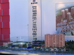 天府之國(guó)，家園新篇——四川房地產(chǎn)名優(yōu)特新產(chǎn)品展示會(huì)側(cè)影